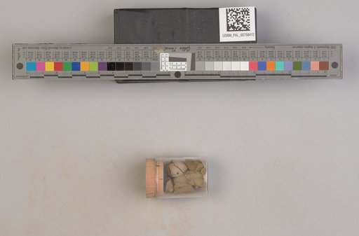 NSF ADBC EPICC TCN