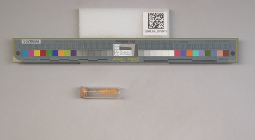 NSF ADBC EPICC TCN