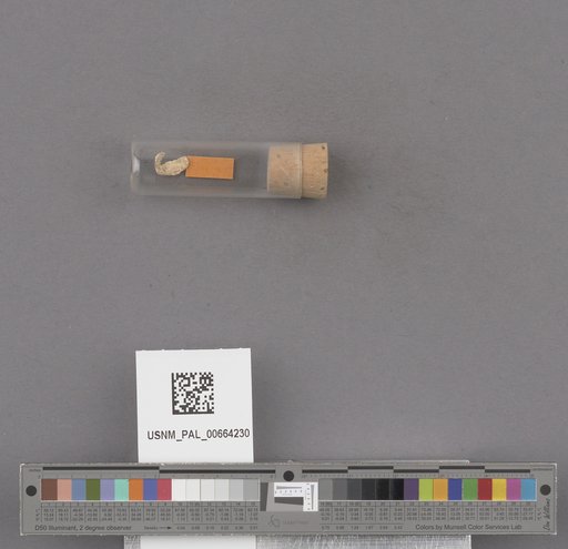 NSF ADBC EPICC TCN