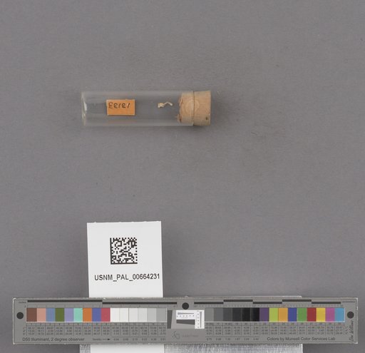 NSF ADBC EPICC TCN