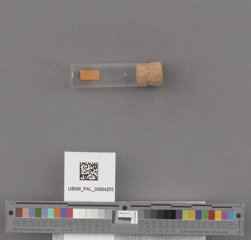 NSF ADBC EPICC TCN