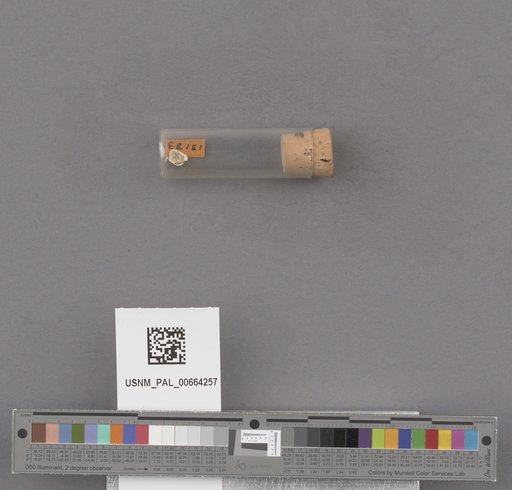 NSF ADBC EPICC TCN