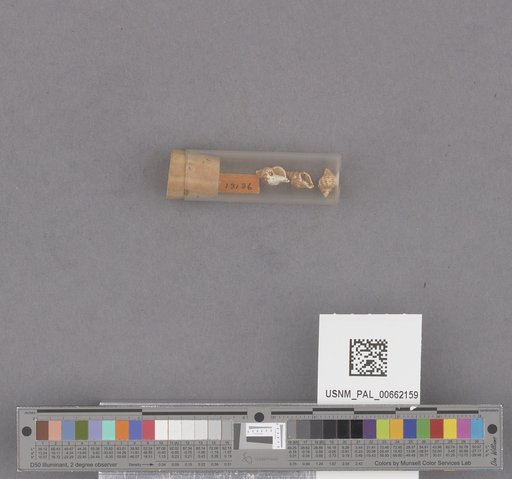 NSF ADBC EPICC TCN