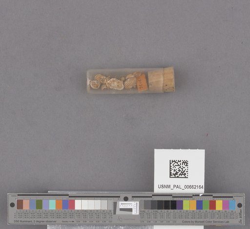 NSF ADBC EPICC TCN