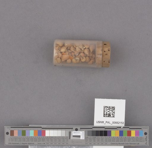NSF ADBC EPICC TCN