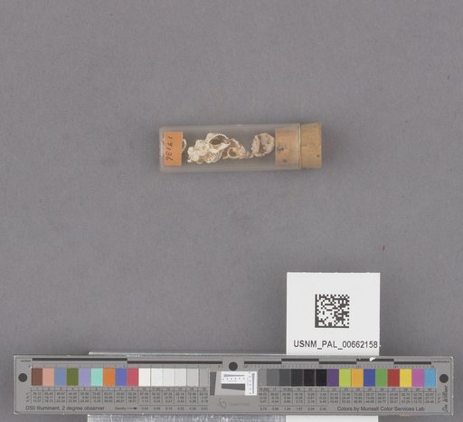 NSF ADBC EPICC TCN