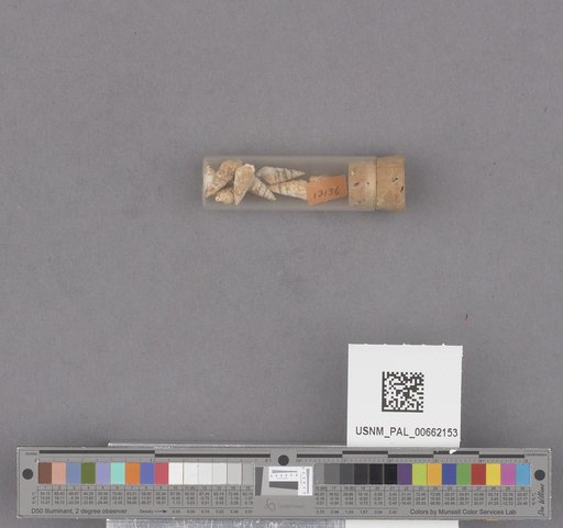 NSF ADBC EPICC TCN