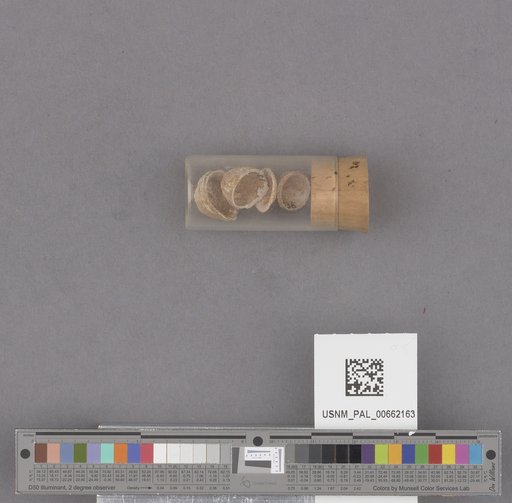 NSF ADBC EPICC TCN