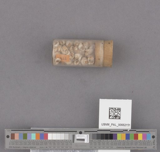 NSF ADBC EPICC TCN