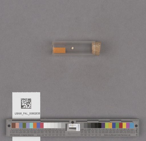 NSF ADBC EPICC TCN