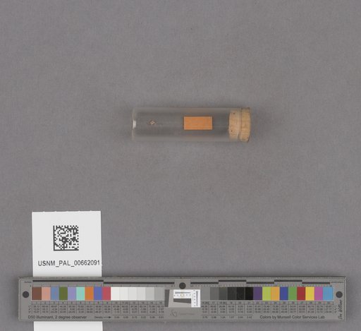 NSF ADBC EPICC TCN