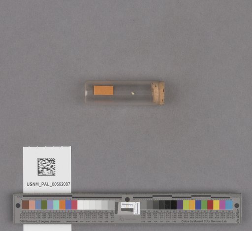 NSF ADBC EPICC TCN