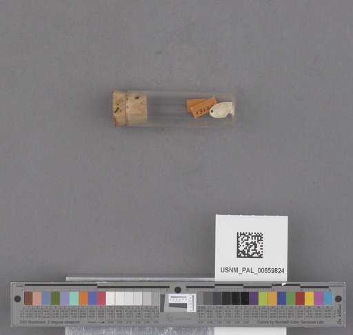 NSF ADBC EPICC TCN