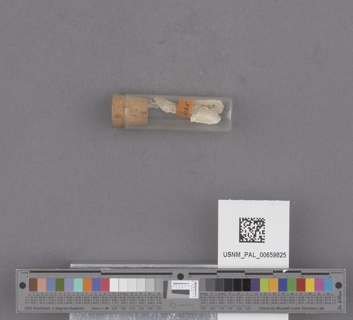 NSF ADBC EPICC TCN