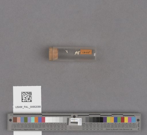 NSF ADBC EPICC TCN