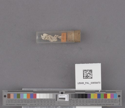 NSF ADBC EPICC TCN