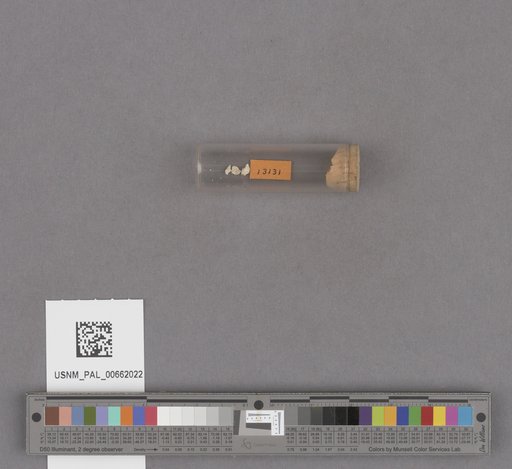 NSF ADBC EPICC TCN