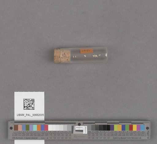 NSF ADBC EPICC TCN