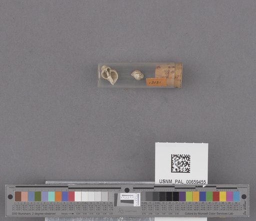 NSF ADBC EPICC TCN
