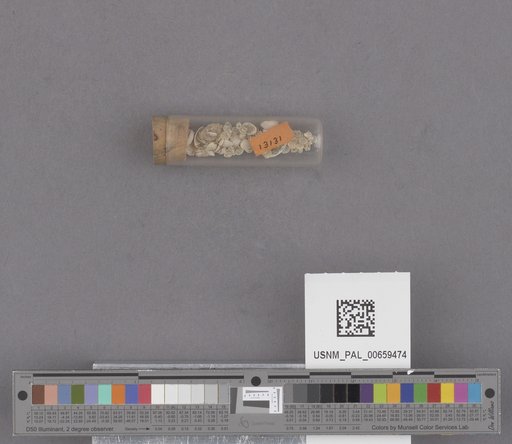 NSF ADBC EPICC TCN