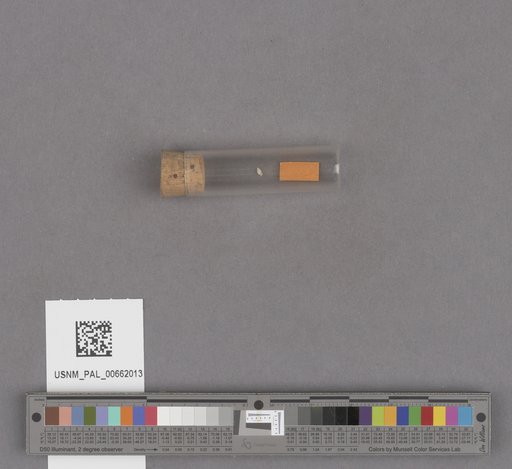 NSF ADBC EPICC TCN