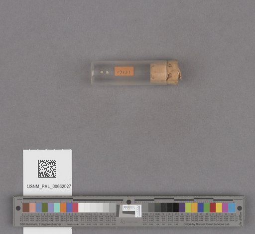 NSF ADBC EPICC TCN