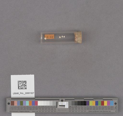 NSF ADBC EPICC TCN