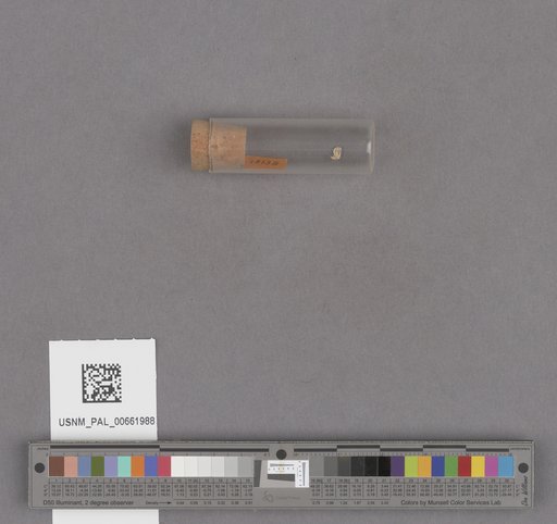 NSF ADBC EPICC TCN