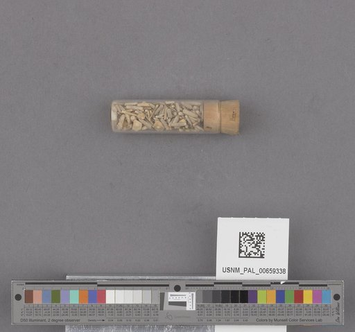 NSF ADBC EPICC TCN