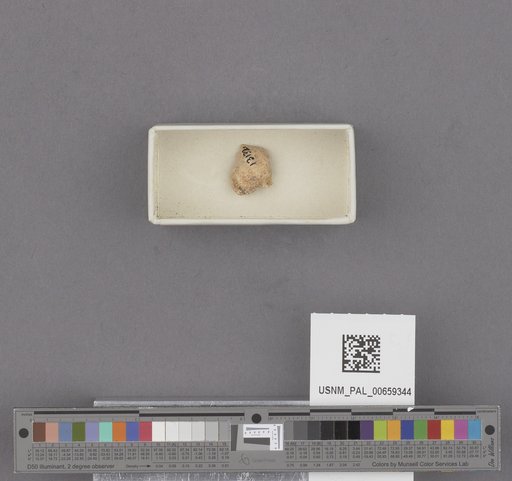 NSF ADBC EPICC TCN