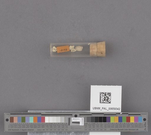 NSF ADBC EPICC TCN
