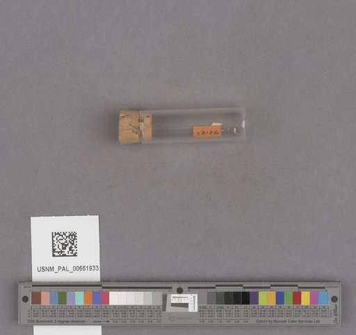 NSF ADBC EPICC TCN
