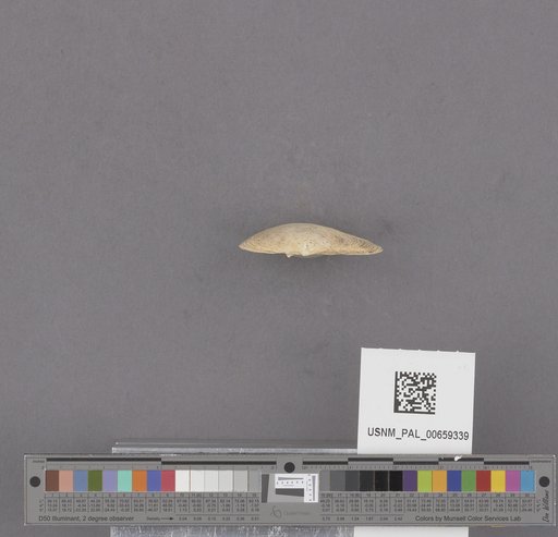NSF ADBC EPICC TCN