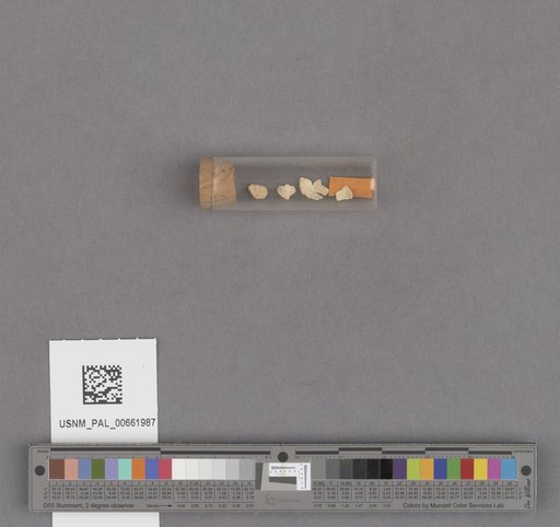 NSF ADBC EPICC TCN