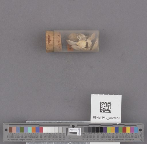 NSF ADBC EPICC TCN
