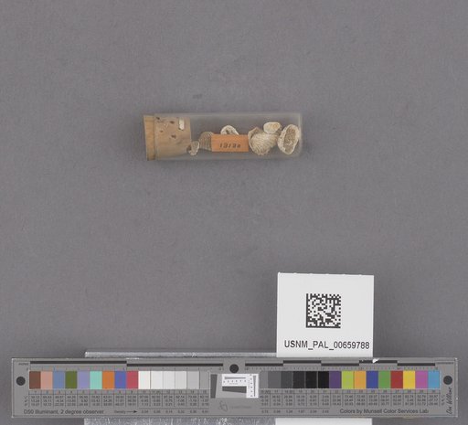 NSF ADBC EPICC TCN