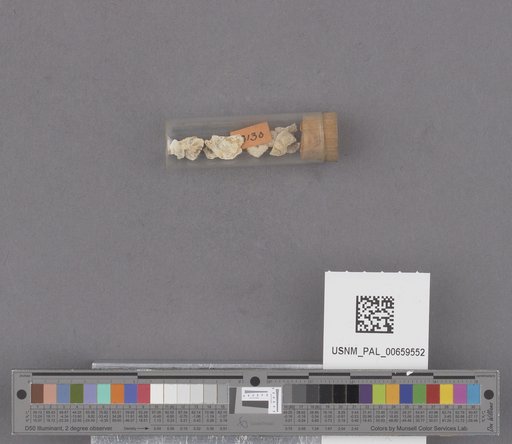 NSF ADBC EPICC TCN