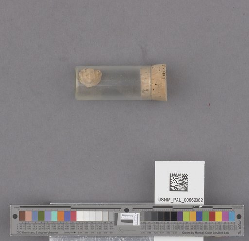 NSF ADBC EPICC TCN