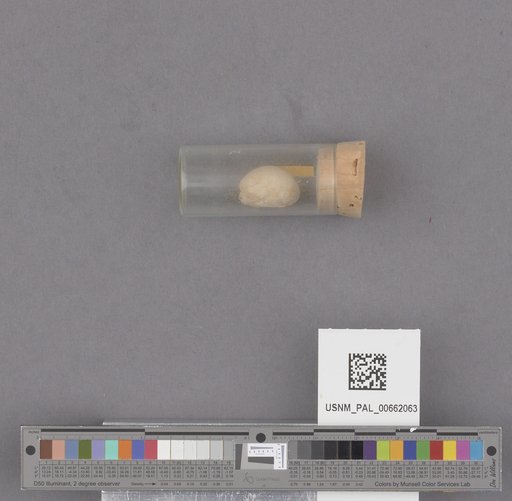 NSF ADBC EPICC TCN