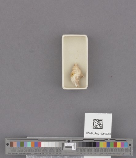 NSF ADBC EPICC TCN