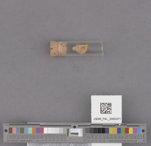 NSF ADBC EPICC TCN