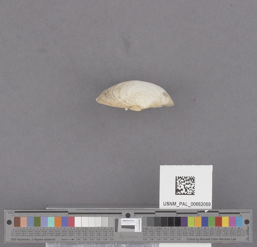 NSF ADBC EPICC TCN