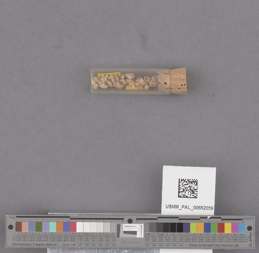 NSF ADBC EPICC TCN