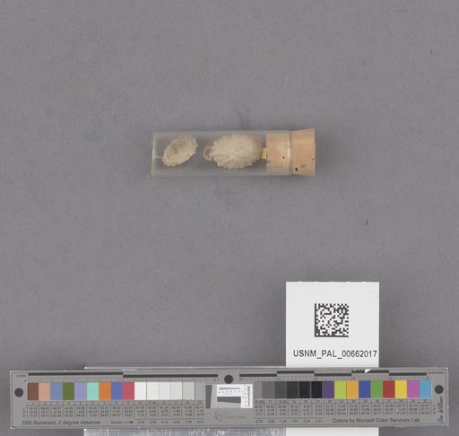 NSF ADBC EPICC TCN