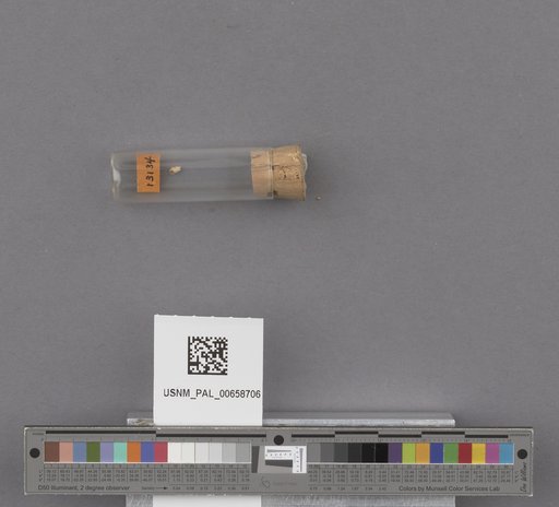 NSF ADBC EPICC TCN