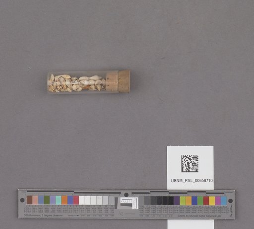 NSF ADBC EPICC TCN