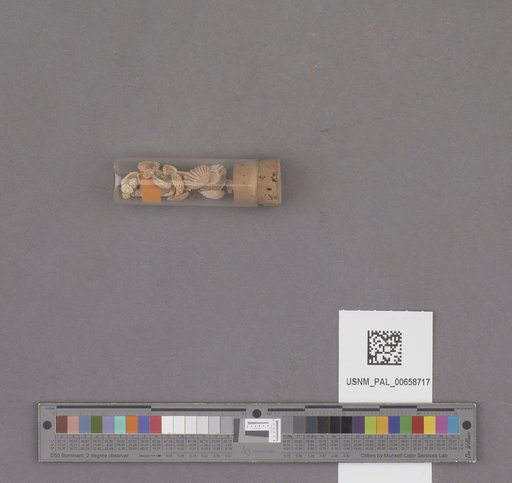 NSF ADBC EPICC TCN