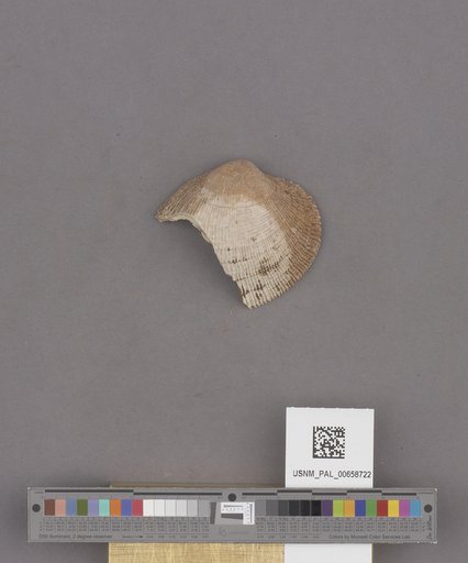NSF ADBC EPICC TCN
