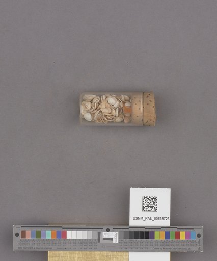 NSF ADBC EPICC TCN