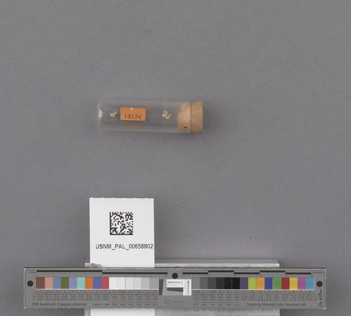 NSF ADBC EPICC TCN